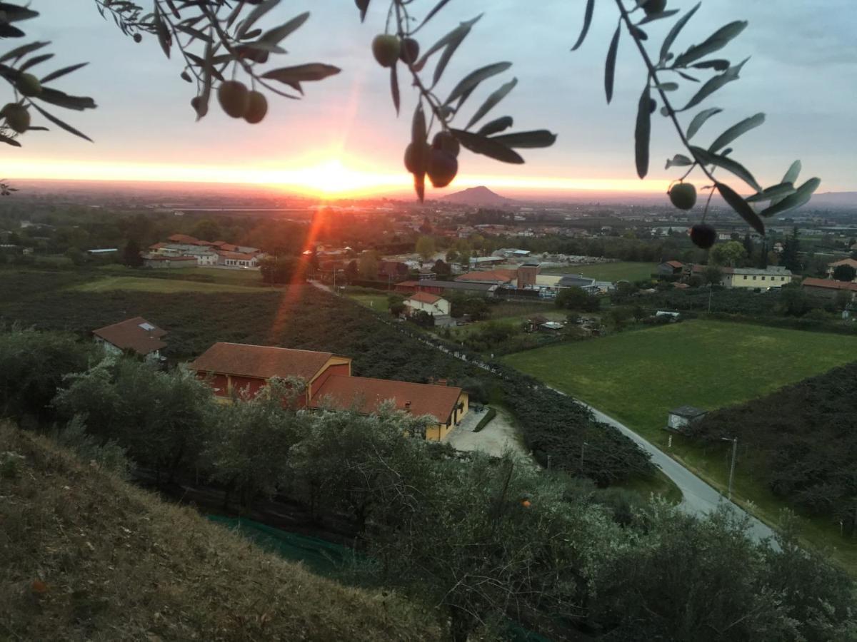 Bed and Breakfast Agrialpi By Salfrutta Bricherasio Exteriér fotografie