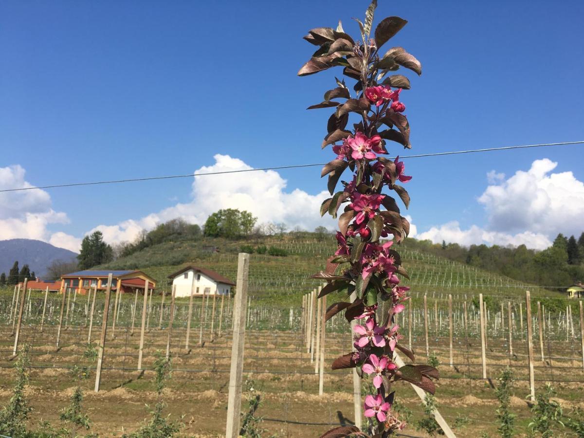 Bed and Breakfast Agrialpi By Salfrutta Bricherasio Exteriér fotografie