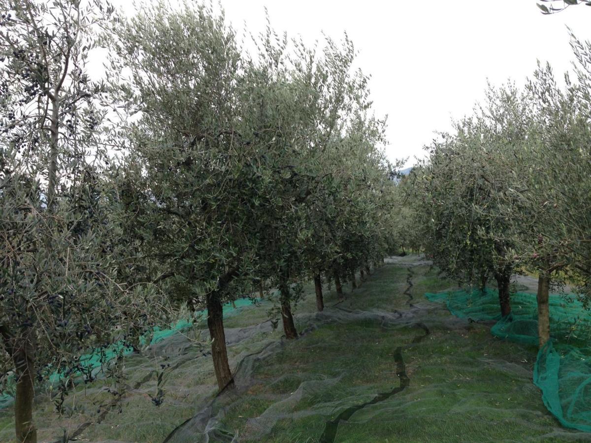 Bed and Breakfast Agrialpi By Salfrutta Bricherasio Exteriér fotografie