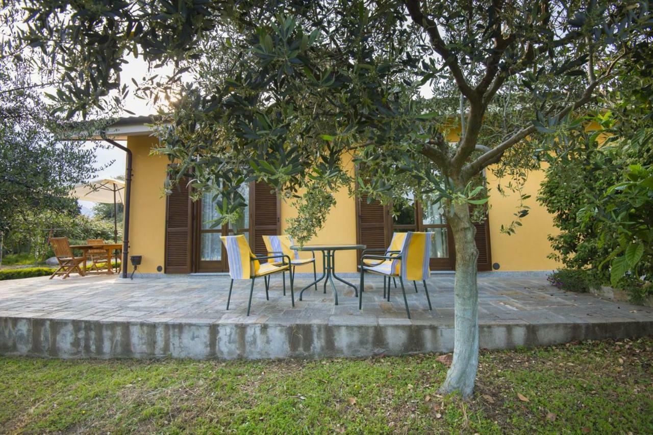 Bed and Breakfast Agrialpi By Salfrutta Bricherasio Exteriér fotografie